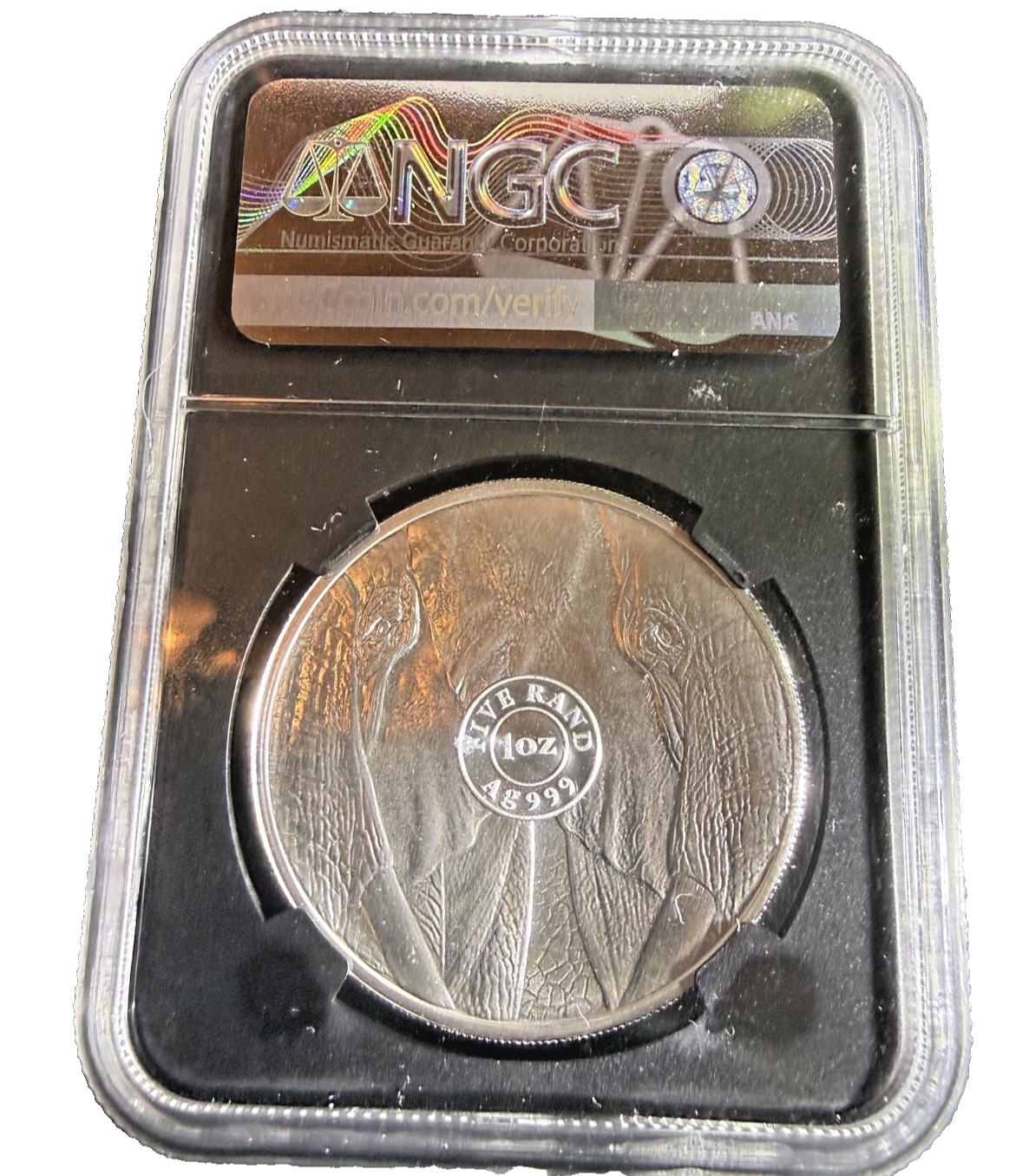 Rare: 2019 South Africa  Big Five Elephant 1 Oz Silver NGC MS70 FDOI