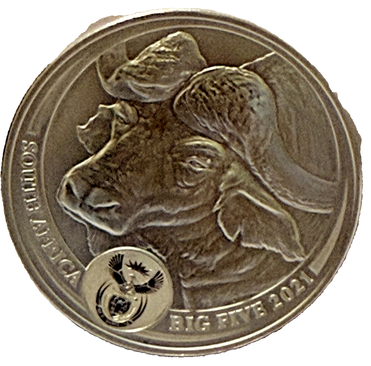 2021 South African Big Five Series 1 Buffalo
