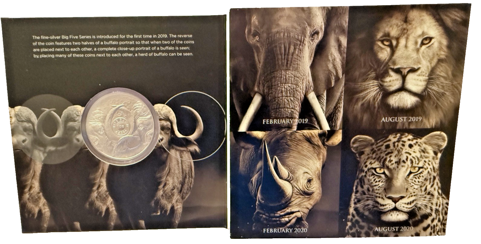 2021 South African Big Five Series 1 Buffalo