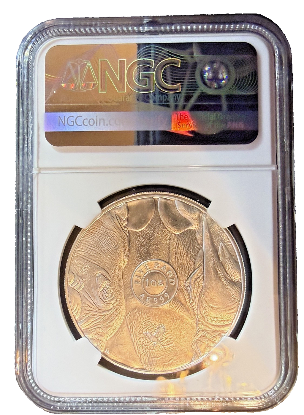 2025 South Africa 1 oz Silver Big 5 III Rhino BU NGC MS70