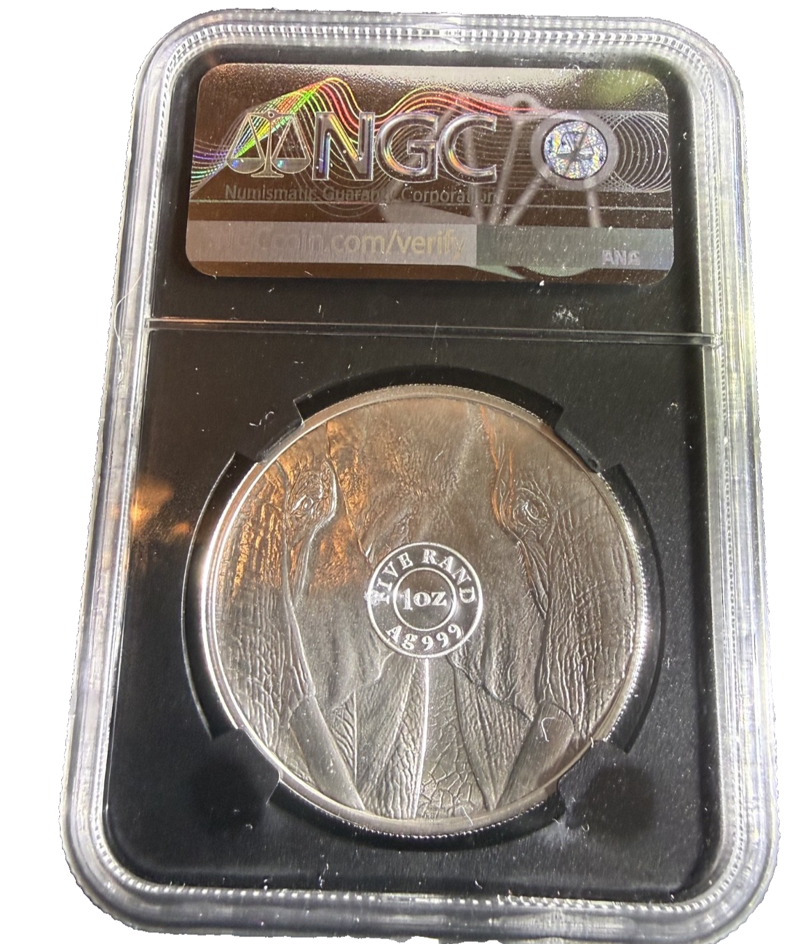 Rare: 2019 South Africa  Big Five Elephant 1 Oz Silver NGC MS70 FDOI