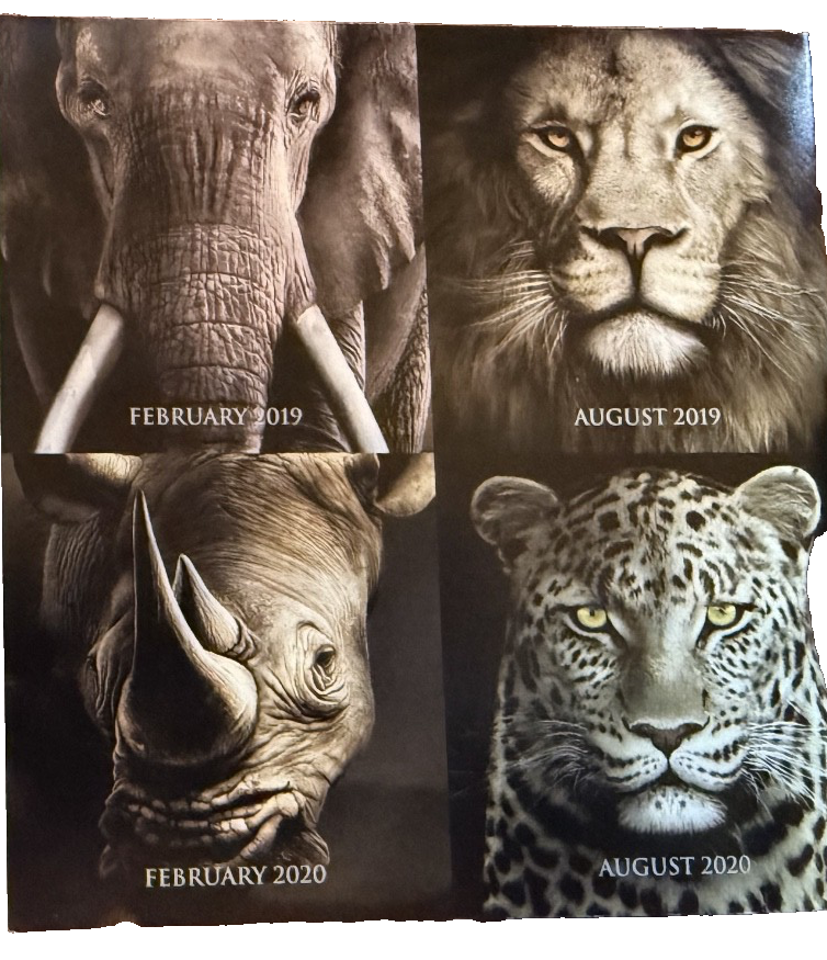 2021 South African Big Five Series 1 Buffalo